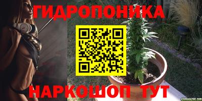 спайс Коммунар
