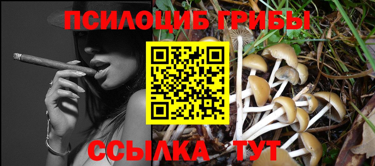 Псилоцибиновые грибы Magic Shrooms  Галлюциногенные грибы ЛСД  Кострома  Вход с VPN 
